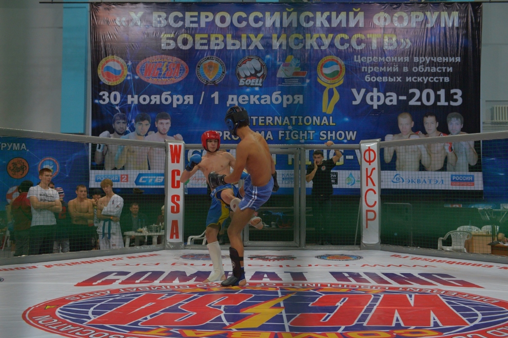 Всероссийский Открытый Турнир по Комбат Самообороне в рамках Форума "РСБИ" (29 ноября - 1 декабря, Уфа-2013)