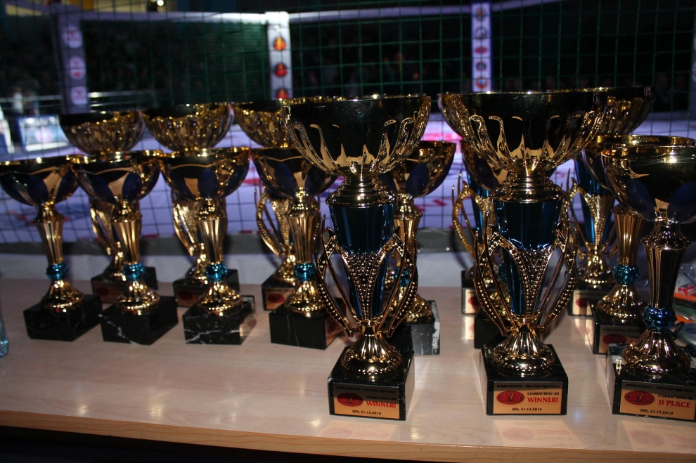 "IV Открытый Кубок ФКСР", WCSA PRO/AMA Fight Show "Combat Ring XII"(20-22 декабря, Уфа-2014)